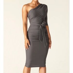 Alieva Dolly Elegant Bodycon Dress in Gray sz XL‎
